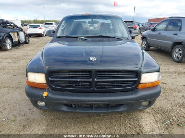 Продажа на аукционе авто 2003 Dodge Dakota Sport, vin: 1D7HL32N13S276397, номер лота: 12699022