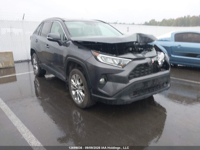 Auction sale of the 2019 Toyota Rav4 Xle, vin: 2T3R1RFV5KW010369, lot number: 12699036
