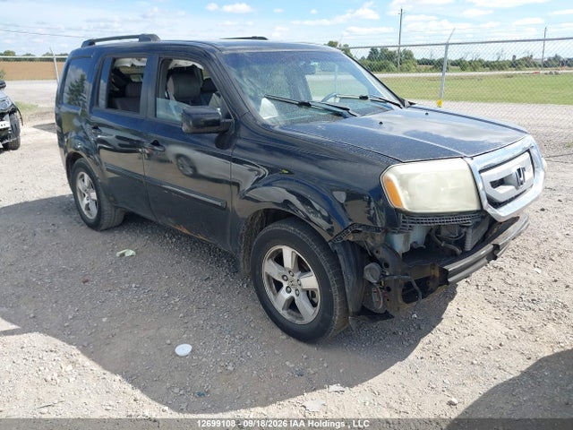 Продажа на аукционе авто 2009 Honda Pilot Exl, vin: 5FNYF48529B501656, номер лота: 12699108