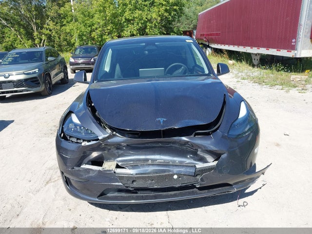 Продаж на аукціоні авто 2024 Tesla Model Y Long Range, vin: LRWYGDEE9RC670052, номер лоту: 12699171