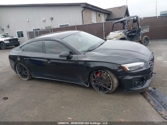Audi S5 SPORTBACK 2023 WAUA4CF5XPA062391 Image 14