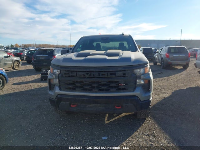 2023 Chevrolet Silverado K1500 Trail Boss Custom მანქანა იყიდება აუქციონზე, vin: 3GCUDCED4PG309639, აუქციონის ნომერი: 12699257