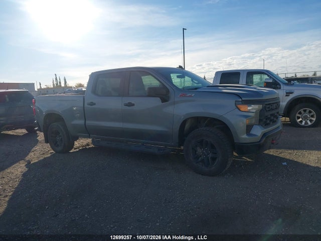 2023 Chevrolet Silverado K1500 Trail Boss Custom მანქანა იყიდება აუქციონზე, vin: 3GCUDCED4PG309639, აუქციონის ნომერი: 12699257
