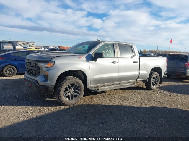 2023 Chevrolet Silverado K1500 Trail Boss Custom მანქანა იყიდება აუქციონზე, vin: 3GCUDCED4PG309639, აუქციონის ნომერი: 12699257