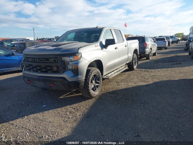 2023 Chevrolet Silverado K1500 Trail Boss Custom მანქანა იყიდება აუქციონზე, vin: 3GCUDCED4PG309639, აუქციონის ნომერი: 12699257