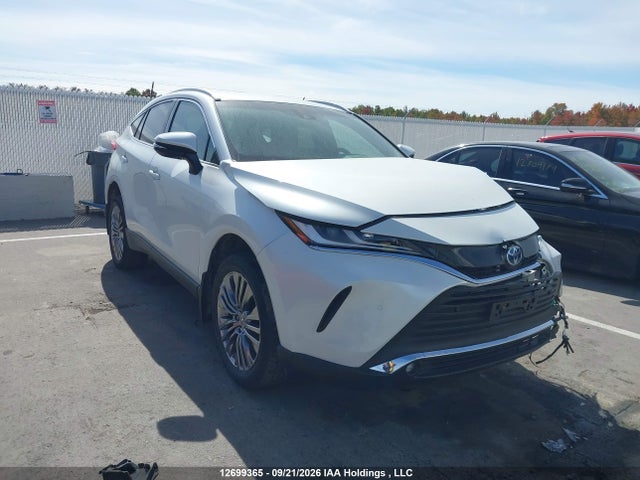 Продаж на аукціоні авто 2023 Toyota Venza, vin: JTEAAAAH1PJ151134, номер лоту: 12699365