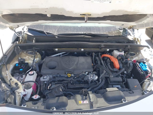 Продаж на аукціоні авто 2023 Toyota Venza, vin: JTEAAAAH1PJ151134, номер лоту: 12699365