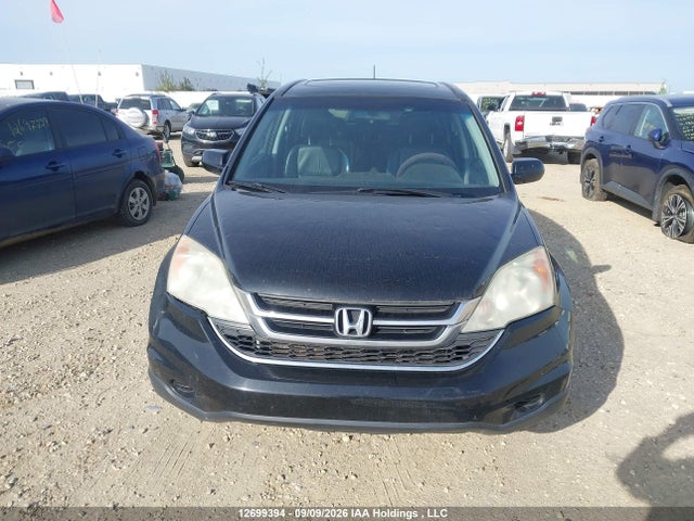 12699394 :رقم المزاد ، 5J6RE4H77BL817950 vin ، 2011 Honda Cr-v مزاد بيع