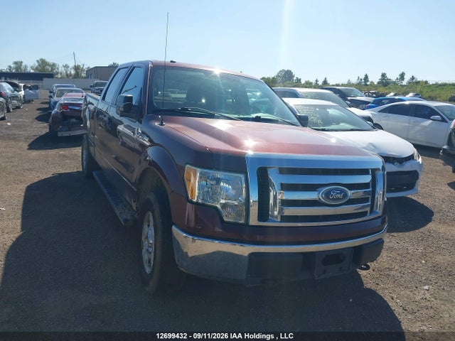 Продажа на аукционе авто 2010 Ford F-150 Xlt, vin: 1FTFW1E81AFD35229, номер лота: 12699432