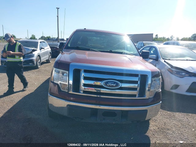 Продажа на аукционе авто 2010 Ford F-150 Xlt, vin: 1FTFW1E81AFD35229, номер лота: 12699432