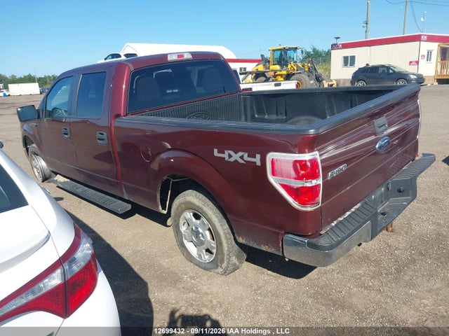 Продажа на аукционе авто 2010 Ford F-150 Xlt, vin: 1FTFW1E81AFD35229, номер лота: 12699432