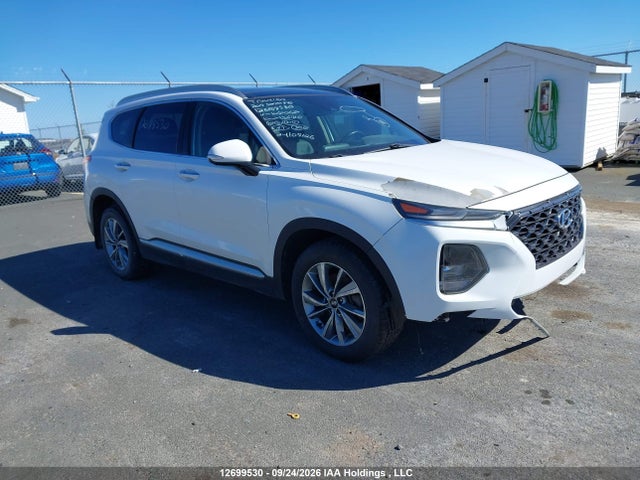 Hyundai Santa Fe Sel/sel Plus 2019 5NMS3CAA8KH108068 головне зображення