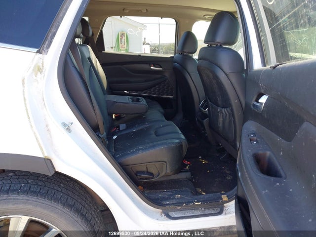 Hyundai Santa Fe Sel/sel Plus 2019 5NMS3CAA8KH108068 Image 8
