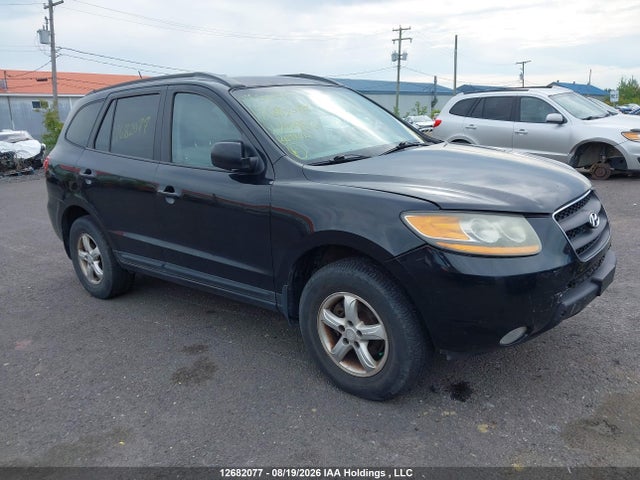 Aukcja sprzedaży 2009 Hyundai Santa Fe Gl/gls, vin: 5NMSG13E89H282953, numer aukcji: 12682077