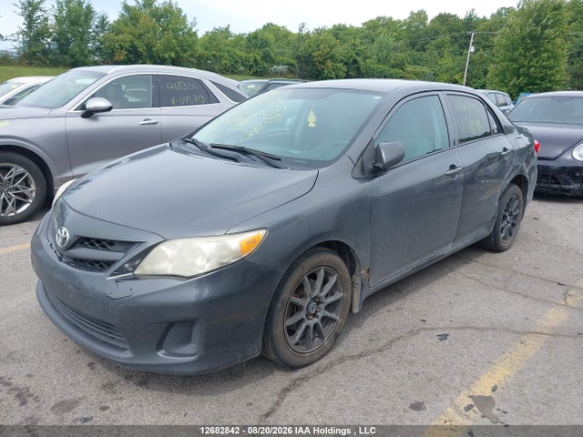 12682842 :رقم المزاد ، 2T1BU4EE2BC569496 vin ، 2011 Toyota Corolla Ce مزاد بيع