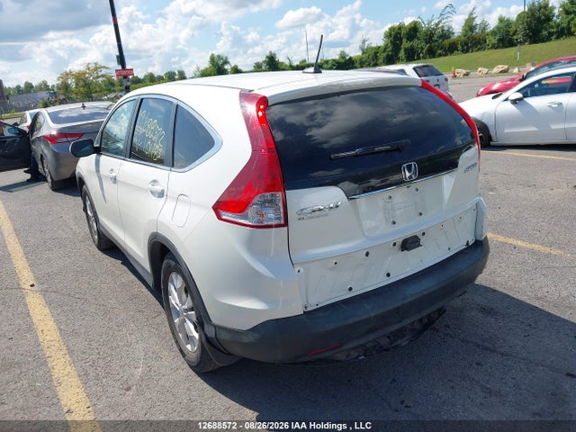 Honda Cr-v Ex-l 2014 2HKRM4H72EH101183 Image 3