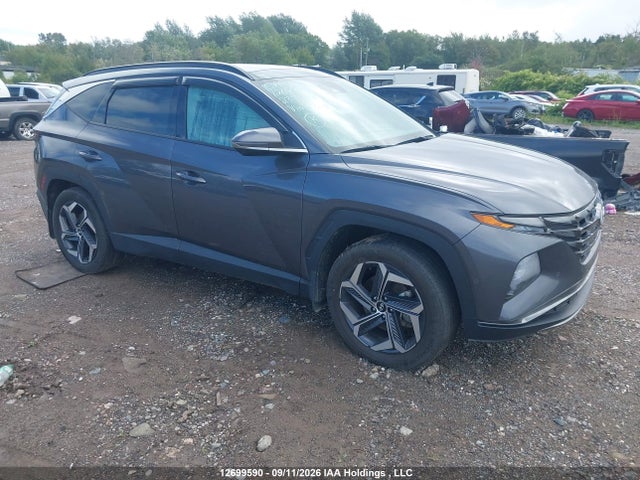 Продажа на аукционе авто 2023 Hyundai Tucson Luxury, vin: KM8JCCA14PU131144, номер лота: 12699590