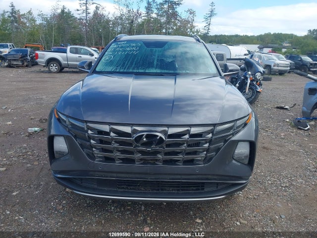 Aukcja sprzedaży 2023 Hyundai Tucson Luxury, vin: KM8JCCA14PU131144, numer aukcji: 12699590