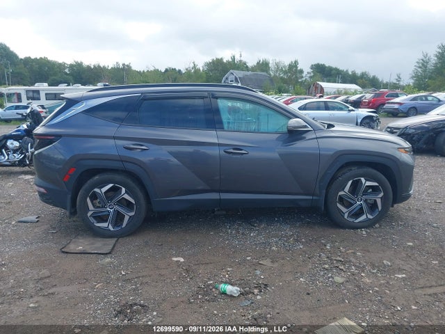 Aukcja sprzedaży 2023 Hyundai Tucson Luxury, vin: KM8JCCA14PU131144, numer aukcji: 12699590
