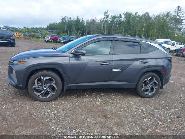 Aukcja sprzedaży 2023 Hyundai Tucson Luxury, vin: KM8JCCA14PU131144, numer aukcji: 12699590