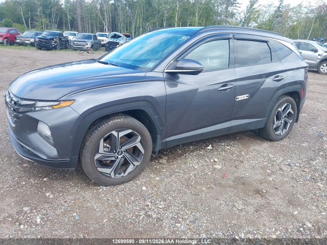 Aukcja sprzedaży 2023 Hyundai Tucson Luxury, vin: KM8JCCA14PU131144, numer aukcji: 12699590