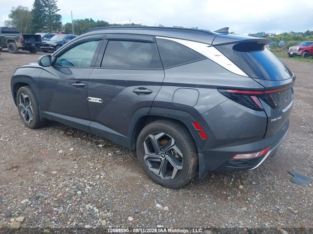 Aukcja sprzedaży 2023 Hyundai Tucson Luxury, vin: KM8JCCA14PU131144, numer aukcji: 12699590