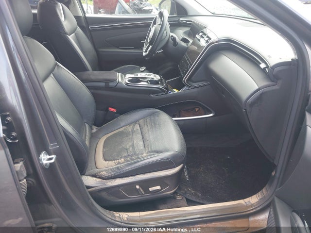 Aukcja sprzedaży 2023 Hyundai Tucson Luxury, vin: KM8JCCA14PU131144, numer aukcji: 12699590