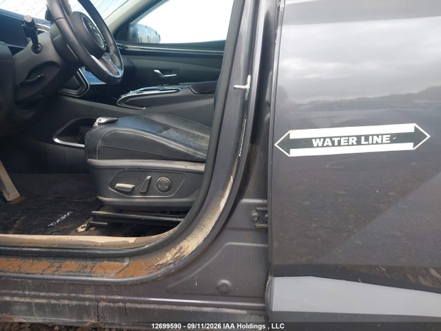 Aukcja sprzedaży 2023 Hyundai Tucson Luxury, vin: KM8JCCA14PU131144, numer aukcji: 12699590