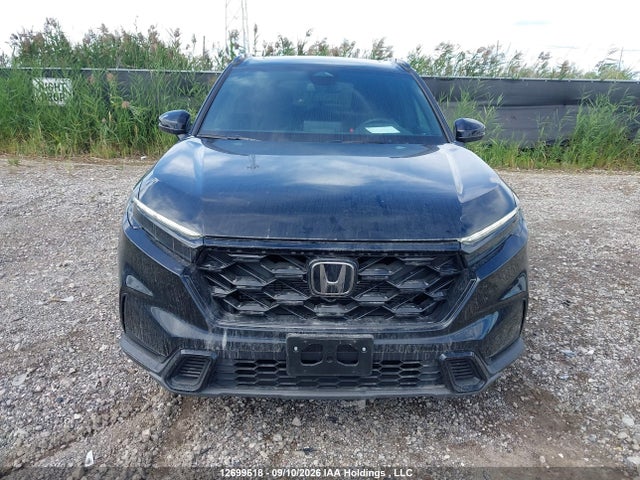 Продаж на аукціоні авто 2026 Honda Cr-v, vin: 2HKRS6H51TH219335, номер лоту: 12699618