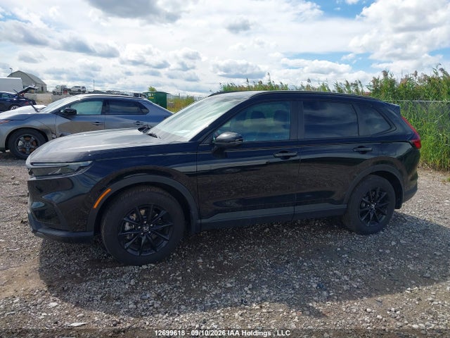 Продаж на аукціоні авто 2026 Honda Cr-v, vin: 2HKRS6H51TH219335, номер лоту: 12699618