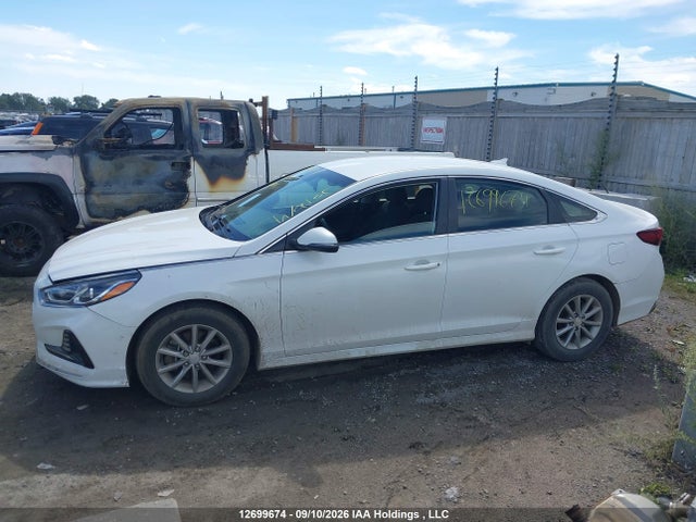 Hyundai Sonata Essential 2019 5NPE24AF6KH742385 Image 13