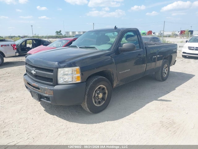 Продаж на аукціоні авто 2011 Chevrolet Silverado 1500 Wt, vin: 1GCNKPEAXBZ434564, номер лоту: 12676602