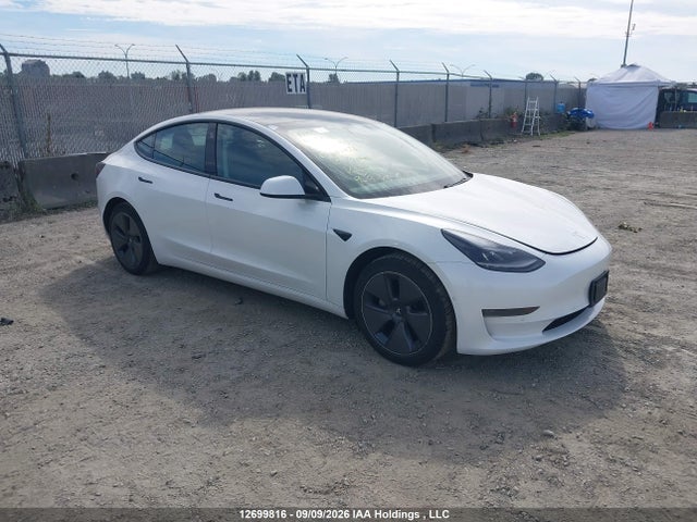 12699816 :رقم المزاد ، 5YJ3E1EA7MF083021 vin ، 2021 Tesla Model 3 مزاد بيع