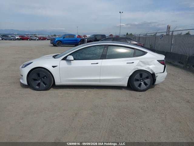 12699816 :رقم المزاد ، 5YJ3E1EA7MF083021 vin ، 2021 Tesla Model 3 مزاد بيع
