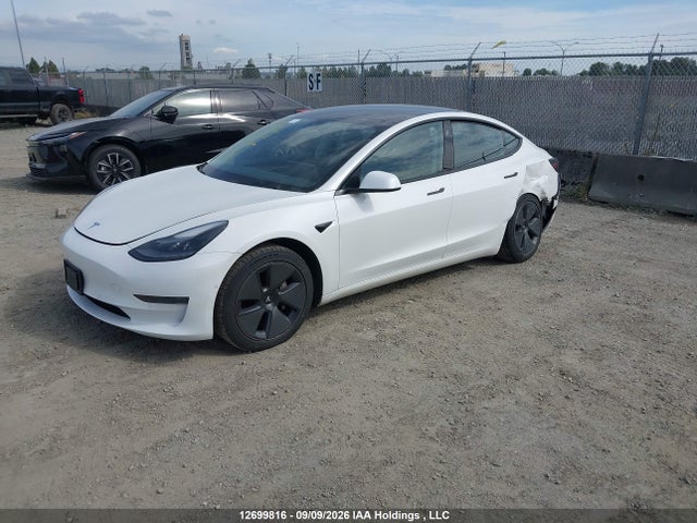 12699816 :رقم المزاد ، 5YJ3E1EA7MF083021 vin ، 2021 Tesla Model 3 مزاد بيع