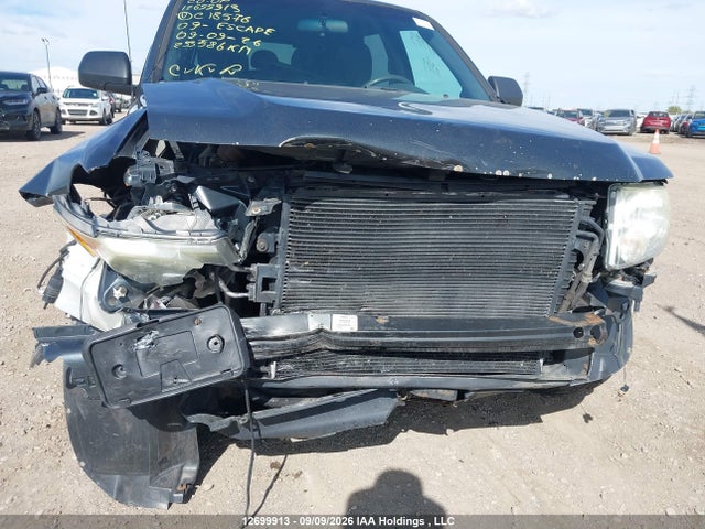 Продаж на аукціоні авто 2009 Ford Escape Xlt Automatic, vin: 1FMCU93G09KC18578, номер лоту: 12699913
