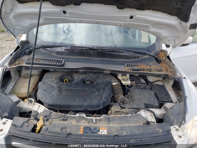 Ford ESCAPE SE 2014 1FMCU9G92EUE30070 Image 10