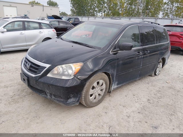 Продаж на аукціоні авто 2010 Honda Odyssey, vin: 5FNRL3H65AB501171, номер лоту: 12700050