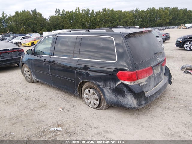 Продаж на аукціоні авто 2010 Honda Odyssey, vin: 5FNRL3H65AB501171, номер лоту: 12700050
