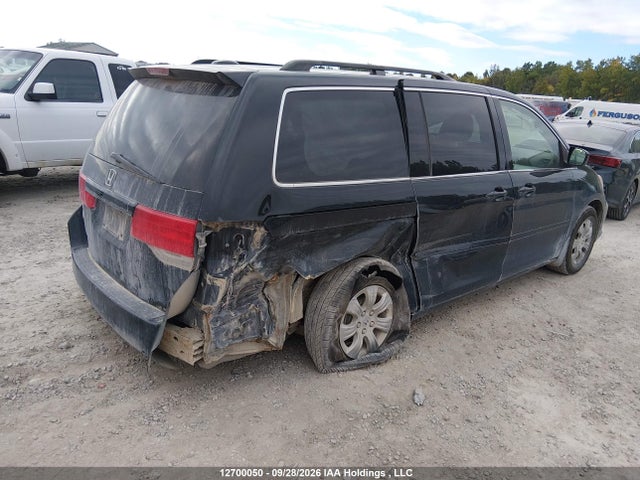 Продаж на аукціоні авто 2010 Honda Odyssey, vin: 5FNRL3H65AB501171, номер лоту: 12700050