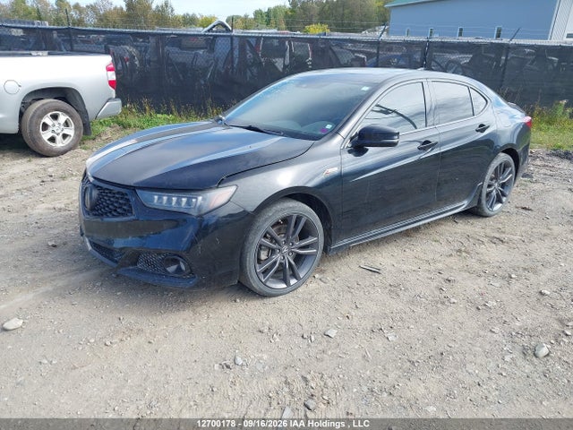 19UUB3F40LA800028 Acura Tlx A-spec