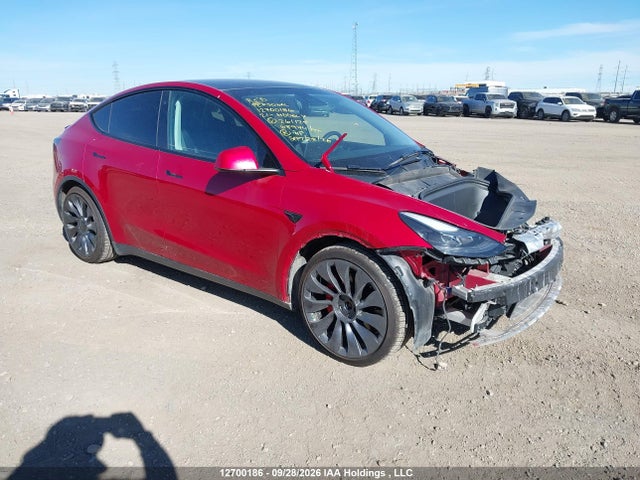 12700186 :رقم المزاد ، 5YJYGDEF4MF261125 vin ، 2021 Tesla Model Y مزاد بيع