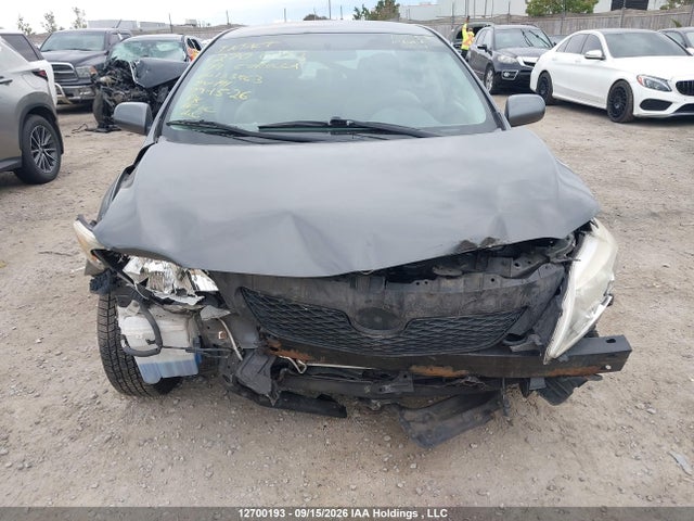 Продажа на аукционе авто 2009 Toyota Corolla, vin: 2T1BU40E69C133963, номер лота: 12700193