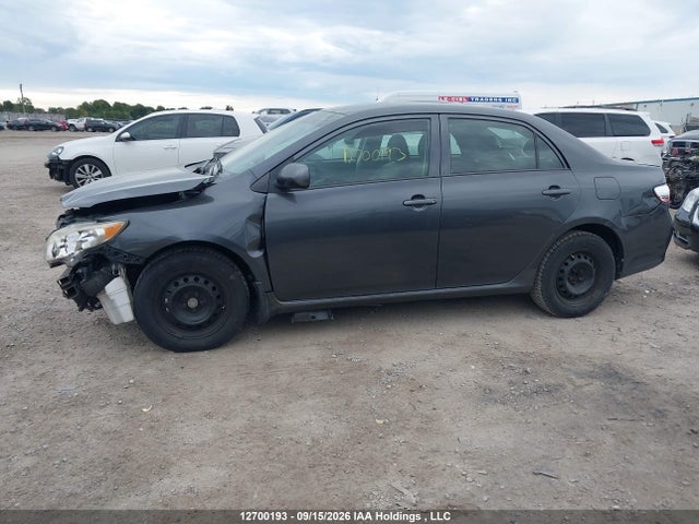 Продажа на аукционе авто 2009 Toyota Corolla, vin: 2T1BU40E69C133963, номер лота: 12700193