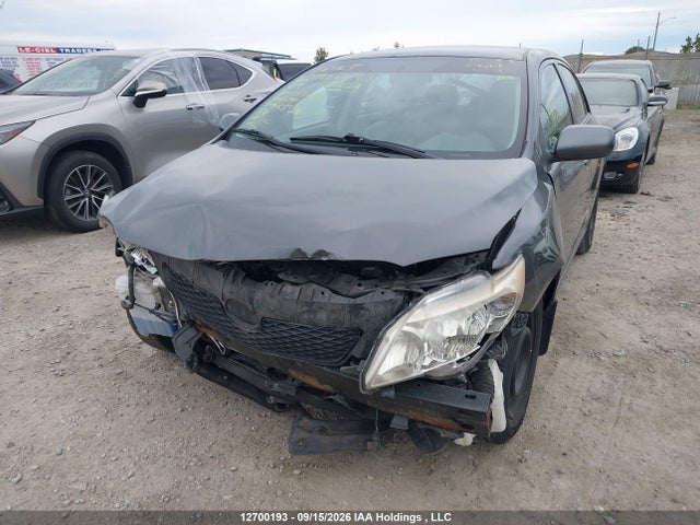 Продажа на аукционе авто 2009 Toyota Corolla, vin: 2T1BU40E69C133963, номер лота: 12700193