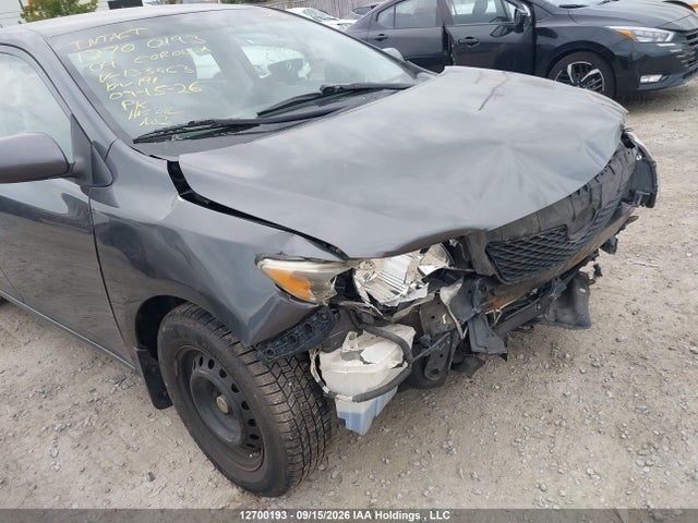 Продажа на аукционе авто 2009 Toyota Corolla, vin: 2T1BU40E69C133963, номер лота: 12700193