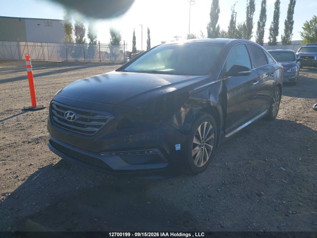 5NPE34AF1GH279785 Hyundai Sonata Sport/limited