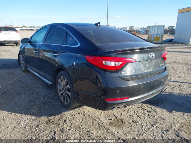 5NPE34AF1GH279785 Hyundai Sonata Sport/limited