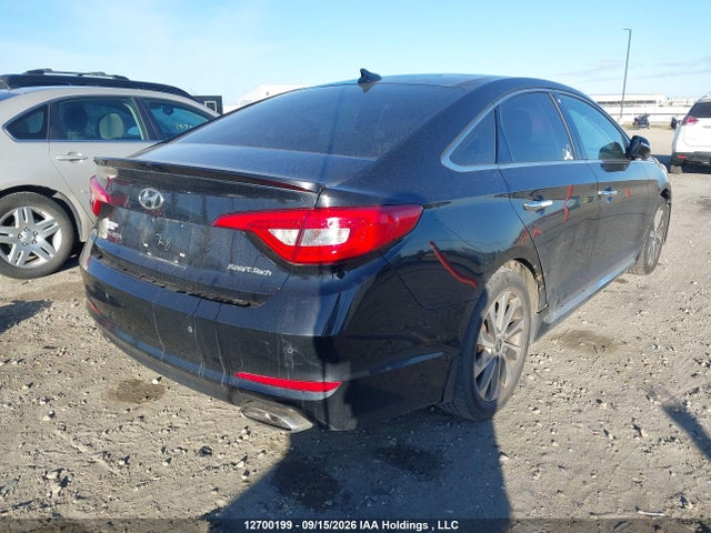 5NPE34AF1GH279785 Hyundai Sonata Sport/limited