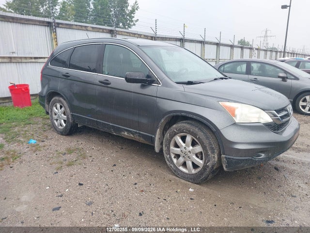 Auction sale of the 2011 Honda Cr-v Lx, vin: 5J6RE4H38BL812026, lot number: 12700255